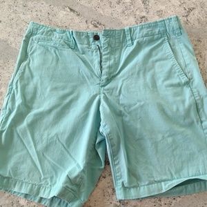 Aqua Shorts